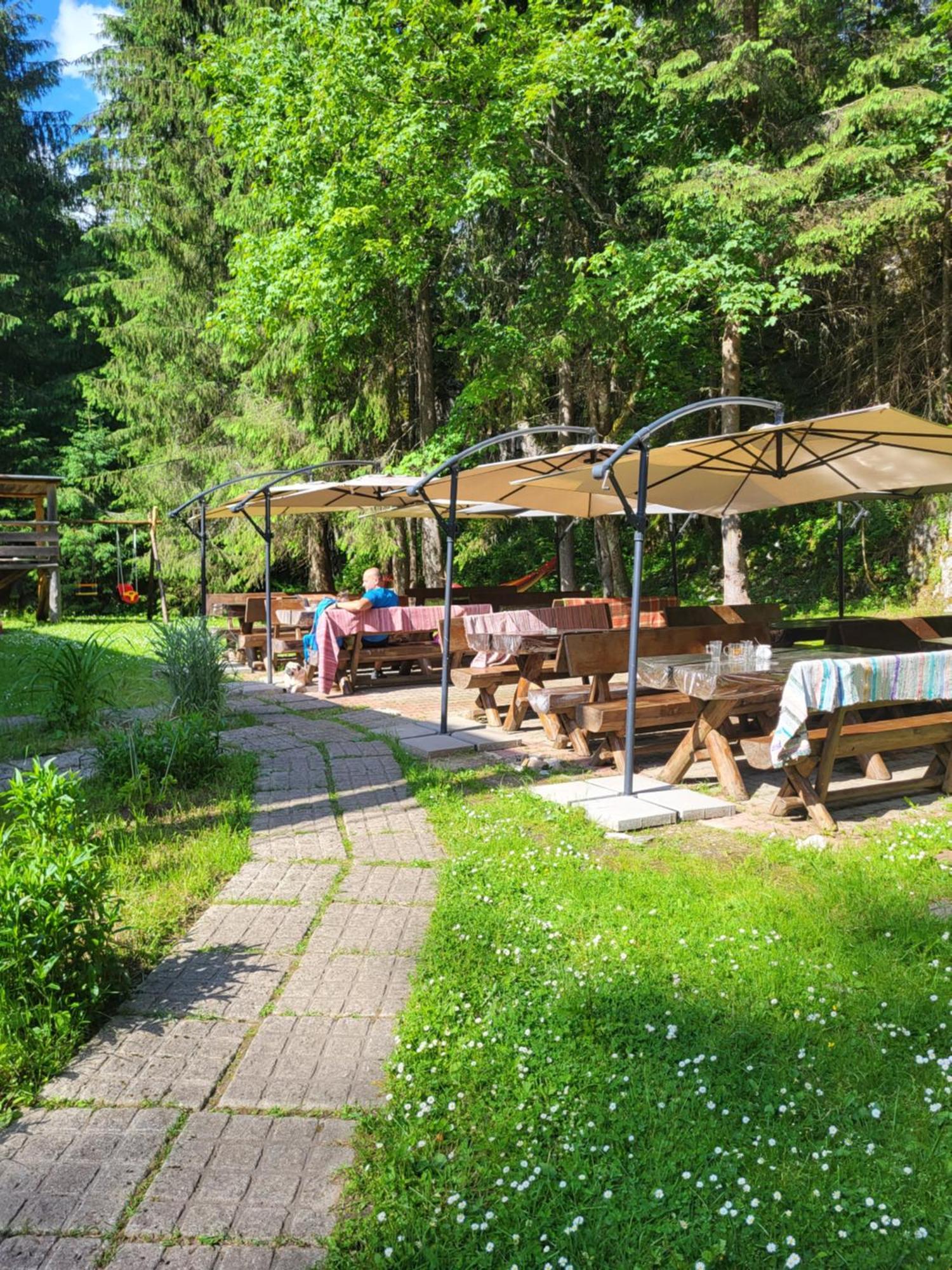 Pension Cabana Cetatile Ponorului Padis Ngoại thất bức ảnh
