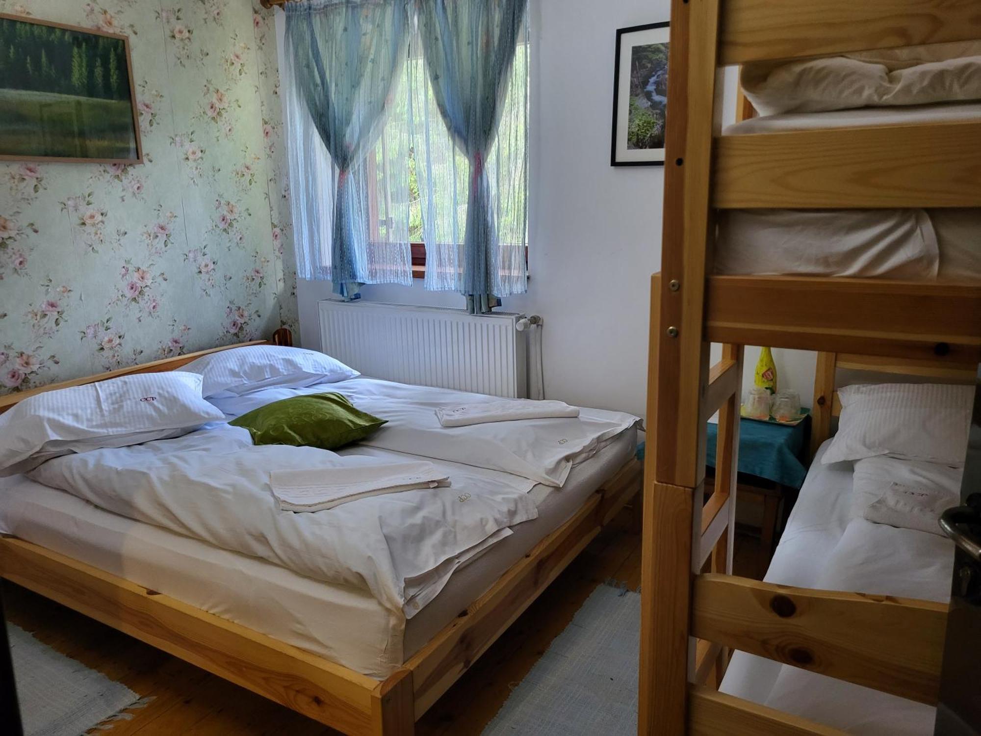 Pension Cabana Cetatile Ponorului Padis Ngoại thất bức ảnh