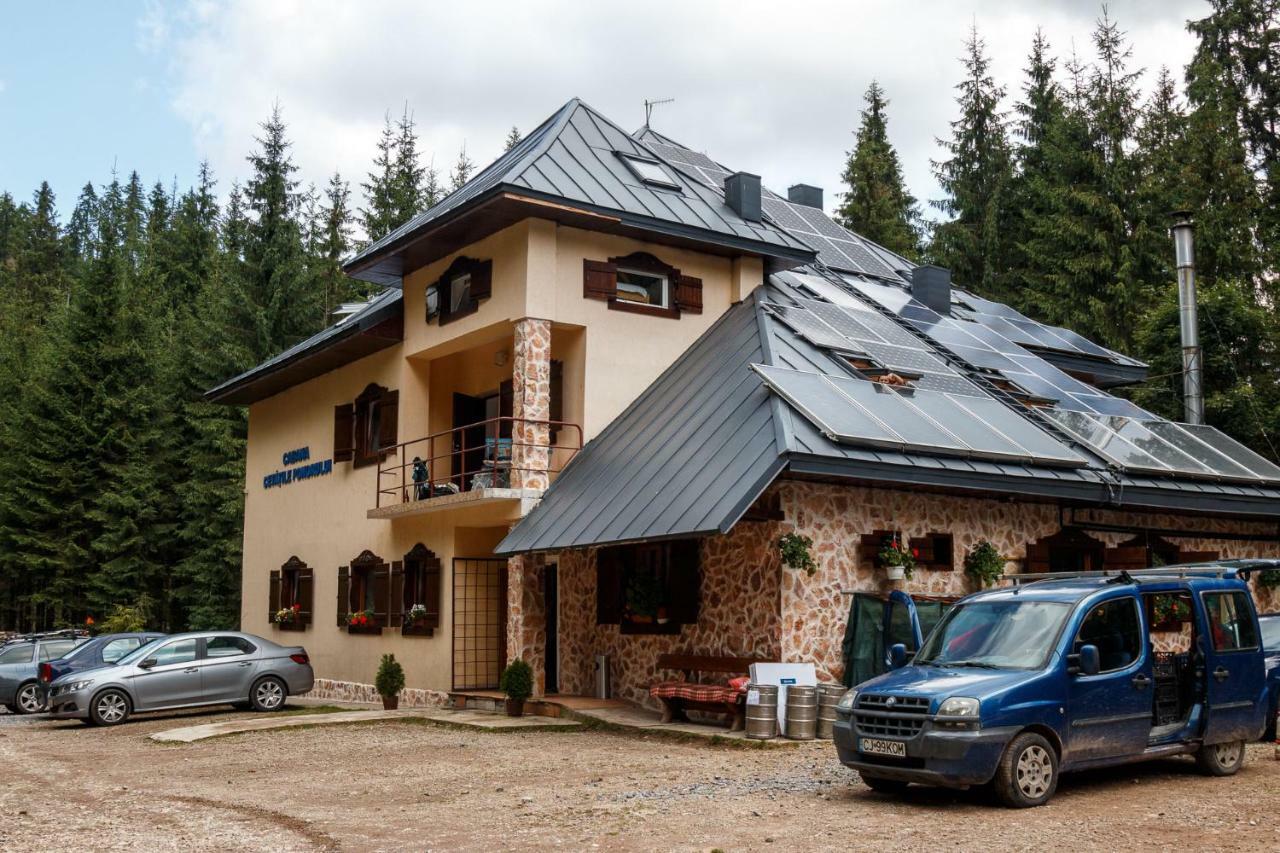 Pension Cabana Cetatile Ponorului Padis Ngoại thất bức ảnh